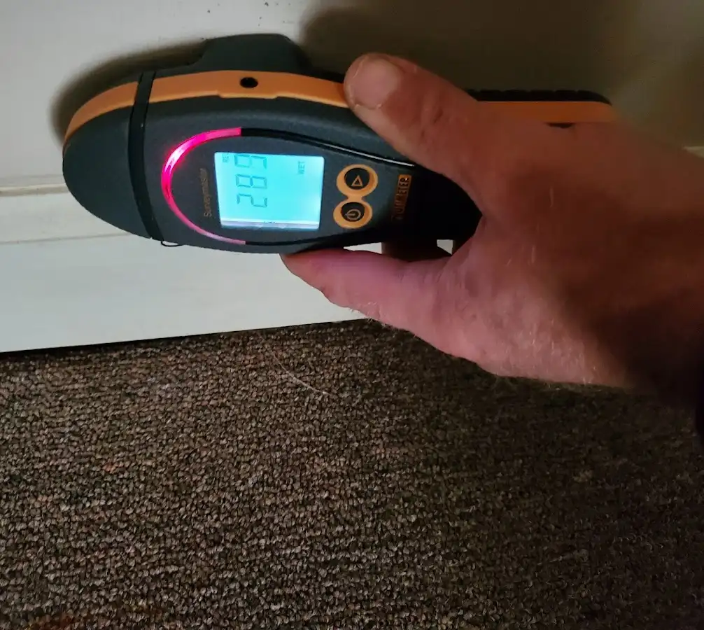 Moisture detection at baseboard during Mold Inspection & Testing in Henderson